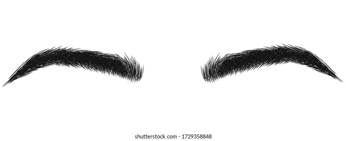 Hand-drawn eyebrows of a girl. Vector illustration. Illustration for beauty salon 