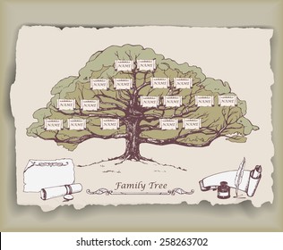 Hand-drawn family tree with decorative elements. Vector