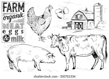 Hand-drawn Farm Animals