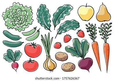 Hand-drawn farm produce. Set of vector illustrations in ink drawing style, colored