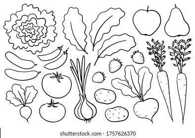 Set Fresh Vegetables Beans Paprika Olive Stock Vector (Royalty Free ...