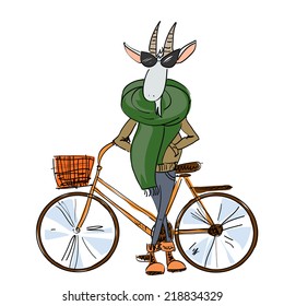 Hand-drawn fashion goat dressed in a casual style, in sunglasses with a bicycle, isolated
