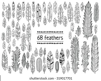 Hand-drawn feather collection. Vector black and white soft feather illustration set.