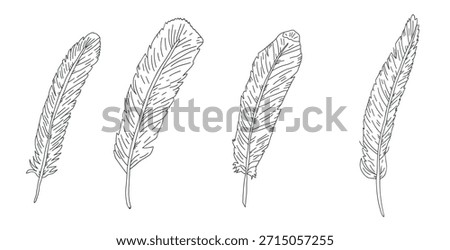 Hand-drawn feather illustration with elegant line art. Vintage sketch design featuring detailed plume in black ink, perfect for tattoo or decorative project. Vector doodle sketch feather isolated.