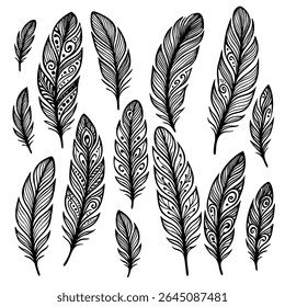 Hand-drawn feather set – elegant black and white vector illustration featuring a variety of intricate feather designs
