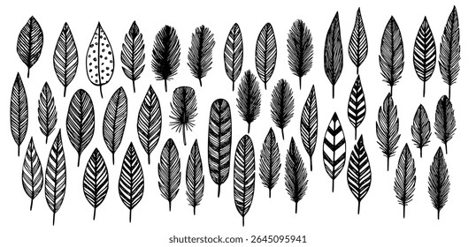 Hand-drawn feather set – elegant black and white vector illustration featuring a variety of intricate feather designs