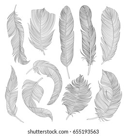 Hand-drawn feathers set. Cool sketch illustrations for your design. Eps10 vector. 