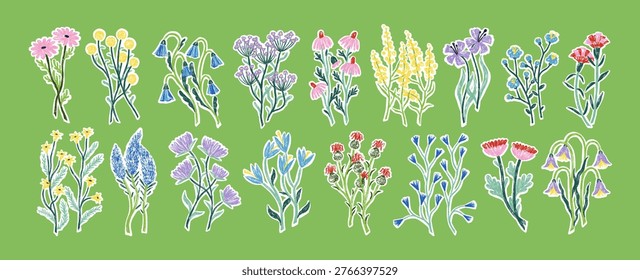 Hand-drawn field flowers set. Spring wild herbs, meadow floral plants, summer herbal blossoms. Drawings of wildflowers, blooms and leaves. Handdrawn vector illustrations isolated on white background