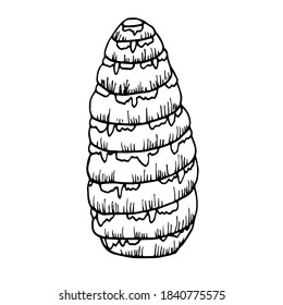 Hand-drawn fir cone. Single fir cone is isolated on a white background. Illustration in the style of the sketch. New year linear drawing for postcards, design, decor
