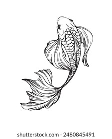 Hand-drawn fish vector illustration in black and white. Detailed line art for design and print. Marine and aquatic concept.