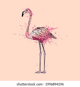 Hand-drawn flamingo, painted with watercolor splashes. The illustration can be used for textiles, postcards and as an element of any type of design.