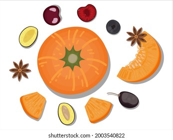 hand-drawn flat Lay, Food knolling style vector illustration of  ingredient, isolated on white background. Autumn vegan ingredient; pumpkin, prune, star anise, red cherry, sliced fruit,