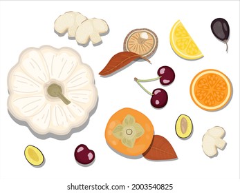 hand-drawn flat Lay, Food knolling style vector illustration of  ingredient, isolated on white background. Autumn vegan ingredient; pumpkin, prune, cherry, mushroom, sliced orange, lemon, persimmon