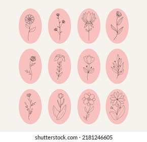 Hand-drawn Floral With Background shape Illustrations