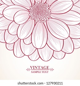 Hand-drawn floral  background. Vector flower chrysanthemum. Element for design.