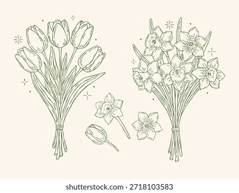 Conjunto de vetor de buquê floral desenhado à mão com tulipas e narcisos em estilo de contorno, incluindo elementos florais separados. Delicados buquês de primavera para convites, papelaria, branding e design decorativo