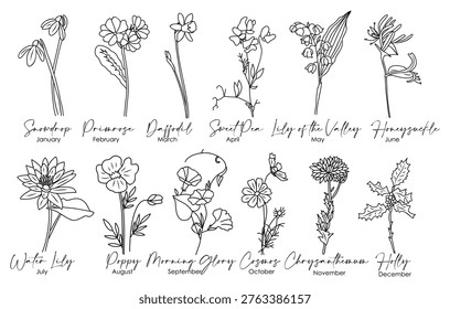 Hand-drawn floral chart shows birth month flowers. Each bloom represents a unique month's symbolic flower. Elegant lines highlight delicate petals and green stems. Ideal for calendars, planners
