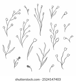 Hand-drawn floral clipart with doodle decorative branches, leaves, and flowers. Botanical elements set for invitations, cards, and nature-themed artwork in a modern minimalist style