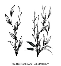 Hand-drawn floral decoration elements, floral border, floral frame