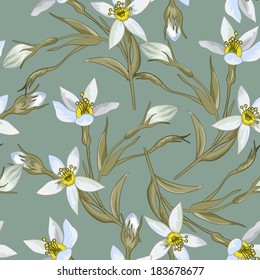 Hand-Drawn floral design background 