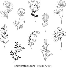 Pintura de clip vectorial de elementos florales de mano, Decoración belleza elegante conjunto de doodle.