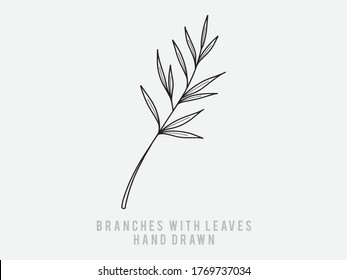 hand-drawn floral elements, plants and flowers. Isolated branches on a white background. Sketchy elements of design. Vector illustrations.