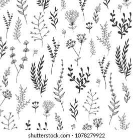 hand-drawn floral and herb decorations