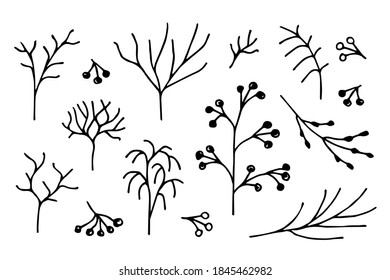 Hand-drawn floral vector drawing in black outline. A set of natural elements for decoration, creating patterns. Winter twigs, trees without foliage, branch, berries.