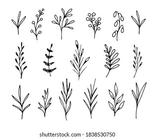 Hand-drawn floral vector illustration. Set of twigs, leaves, branches in black outline on a white background. For product decoration, pattern creation, postcards, invitations, labels, stickers.