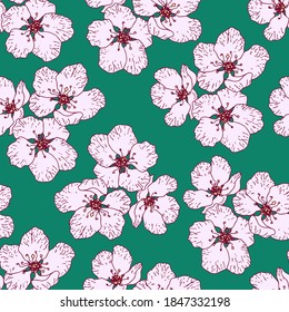 Hand-drawn floral vector seamless pattern. Delicate pink sakura flowers on a light blue green background. For printing on fabrics, textiles, clothing.
