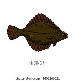 Hand-drawn flounder. Isolated object on a white background. Vector cartoon illustration. 