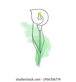 Hand-drawn flower, calla lily. Simple botanical sketch, line, floral drawing, minimalism. Doodle style with imitation watercolor's brush strokes. Isolated on a white background. Vector illustration.