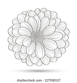 Hand-drawn flower chrysanthemum. Element for design. Abstract floral background.