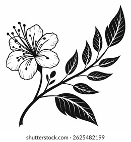 Silhueta de flores e folhas desenhada à mão