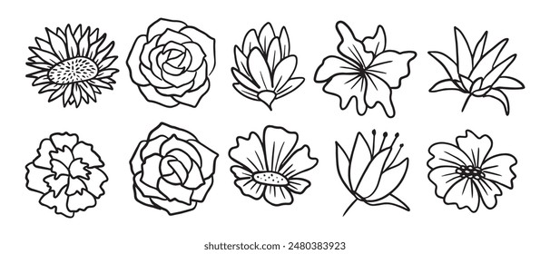 Hand-Drawn Flower Line Art Doodles Vector Illustration - Floral Clipart Set