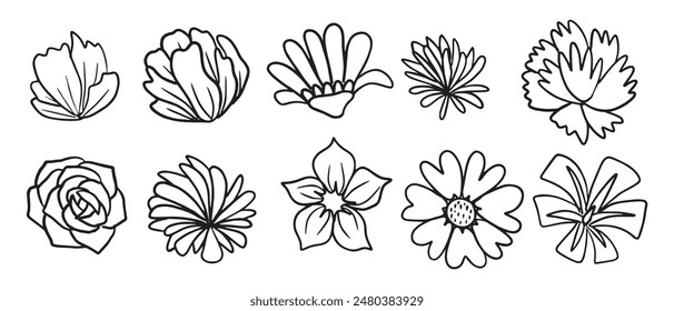 Línea de flores dibujadas a mano Ilustración vectorial de garabatos de arte - Conjunto de Clipart florales