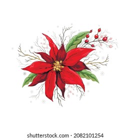a hand-drawn flower (poinsettia) with leaf, branch. realistic element isolated on a white background. modern decoration for holiday cards, banners. paper. vintage style. art realism
