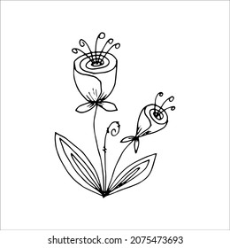 Flor dibujada a mano de un solo doodle para colorear, invitación, postal. Imagen vectorial en blanco y negro