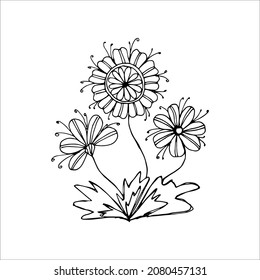 Hand-drawn flower single doodle element for coloring, invitation, postcard. Black and white vector image
