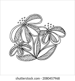 Hand-drawn flower single doodle element for coloring, invitation, postcard. Black and white vector image