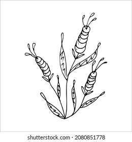 Hand-drawn flower single doodle element for coloring, invitation, postcard. Black and white vector image