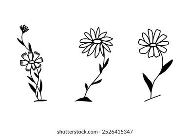 hand-drawn flower sketches for nature-inspired designs