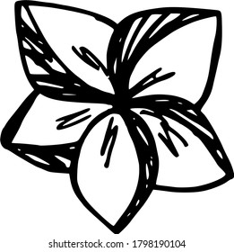 Hand-drawn flowers. Converted to vector graphics. Beautiful flower sets. Vector illustration.