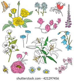 hand-drawn flowers doodle set