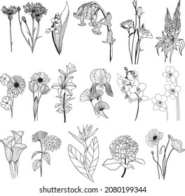 Flores dibujadas a mano en alto conjunto. Gráficos en blanco y negro. Flores en un estilo lineal para colorear páginas, postales, pegatinas, tatuajes.