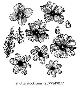 Hand-drawn flowers on white background.  Vector sketch  illustration. 