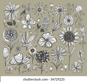 Hand-drawn flowers set. Vector illustration.