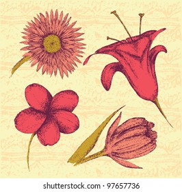Hand-drawn flowers sketch
