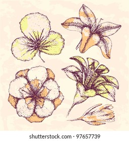 Hand-drawn flowers sketch