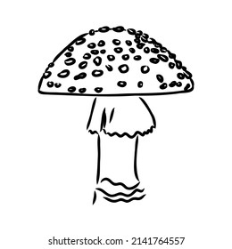 Handdrawn fly-agaric doodle icon. Hand drawn black sketch. Sign cartoon symbol. Decoration element. White background. Isolated. Flat design. Vector illustration.